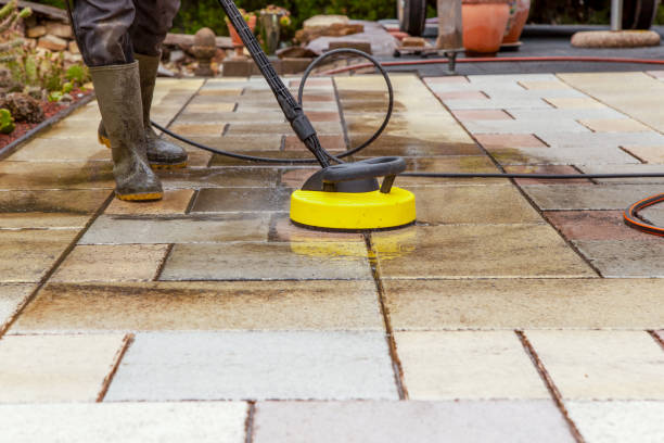 Best Roof Washing  in Leisure City, FL